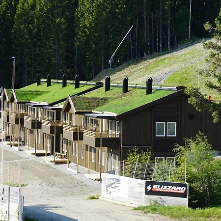 Voss Holiday home Skulestadmo